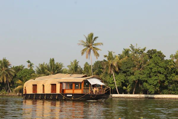Kerala backwater serenity coconut palms